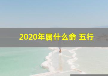 2020年属什么命 五行